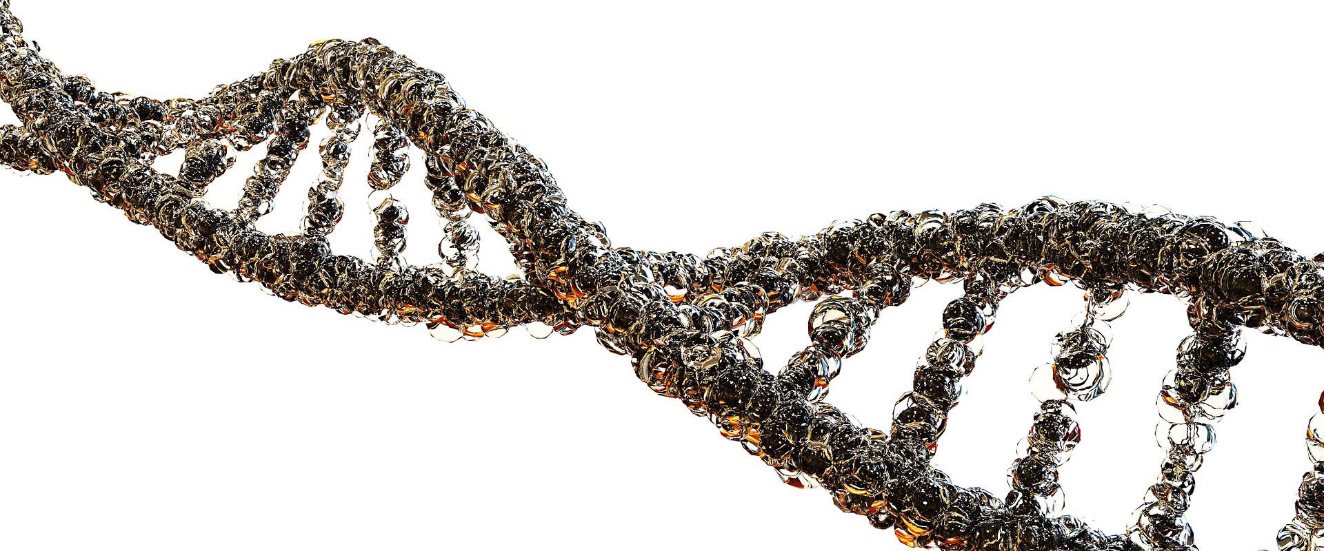 Más que una doble hélice: las nuevas formas de ADN